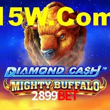 Premium Interface 2899Bet